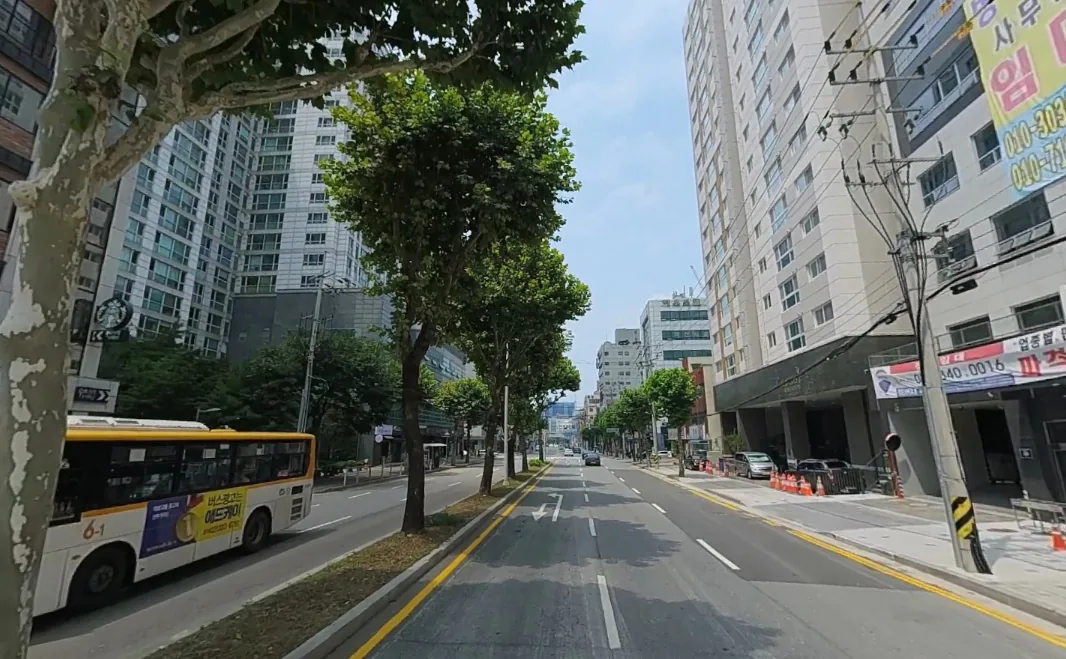 호계동 972-4 앞 엘에스로 – 버스가 다니는 20m 왕복 도로와 가로수
