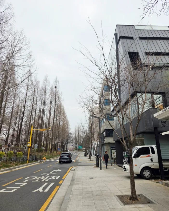 양재동 96-9 앞 양재천로 – 가로수가 늘어선 카페거리 보행로