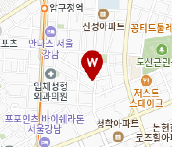 19신사동_지도