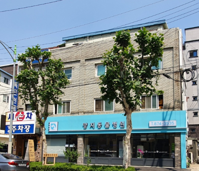 20봉천동