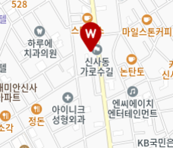 49신사동_지도